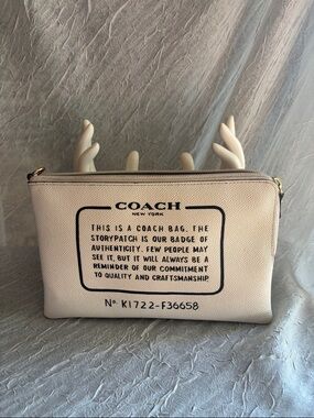Coach Chalk Canvas Creed Large Pouch F36658